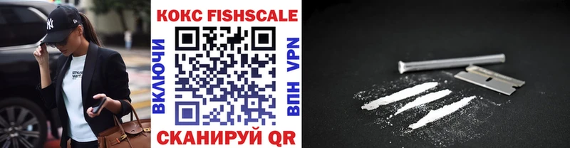 где купить наркоту  Демидов  Cocaine FishScale 