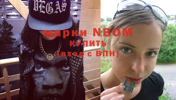 сатива Белокуриха