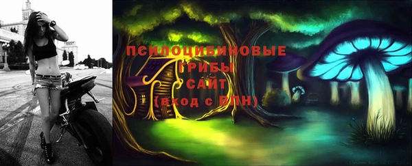 дурь Белоозёрский