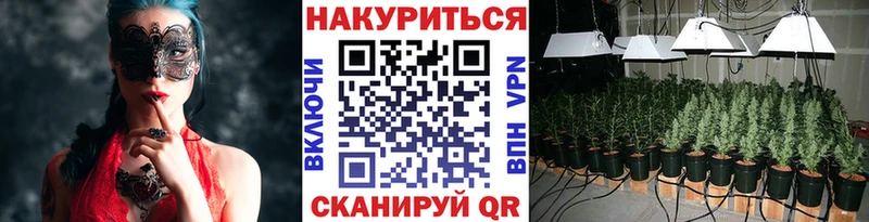 Бошки марихуана Bruce Banner где найти KRAKEN маркетплейс Демидов
